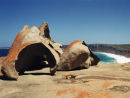Kangaroo Island Aus.